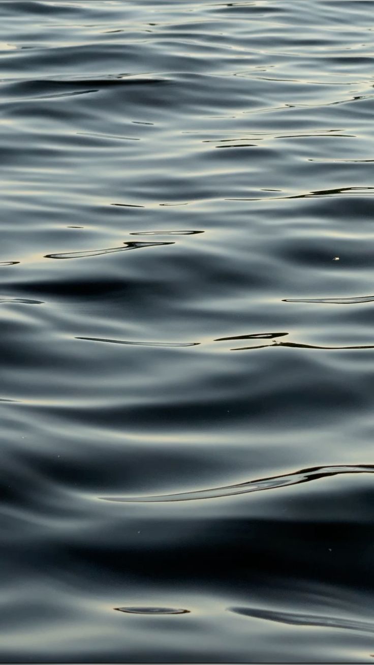 Wasser